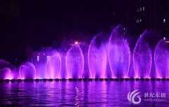 大型音乐喷泉工程案例